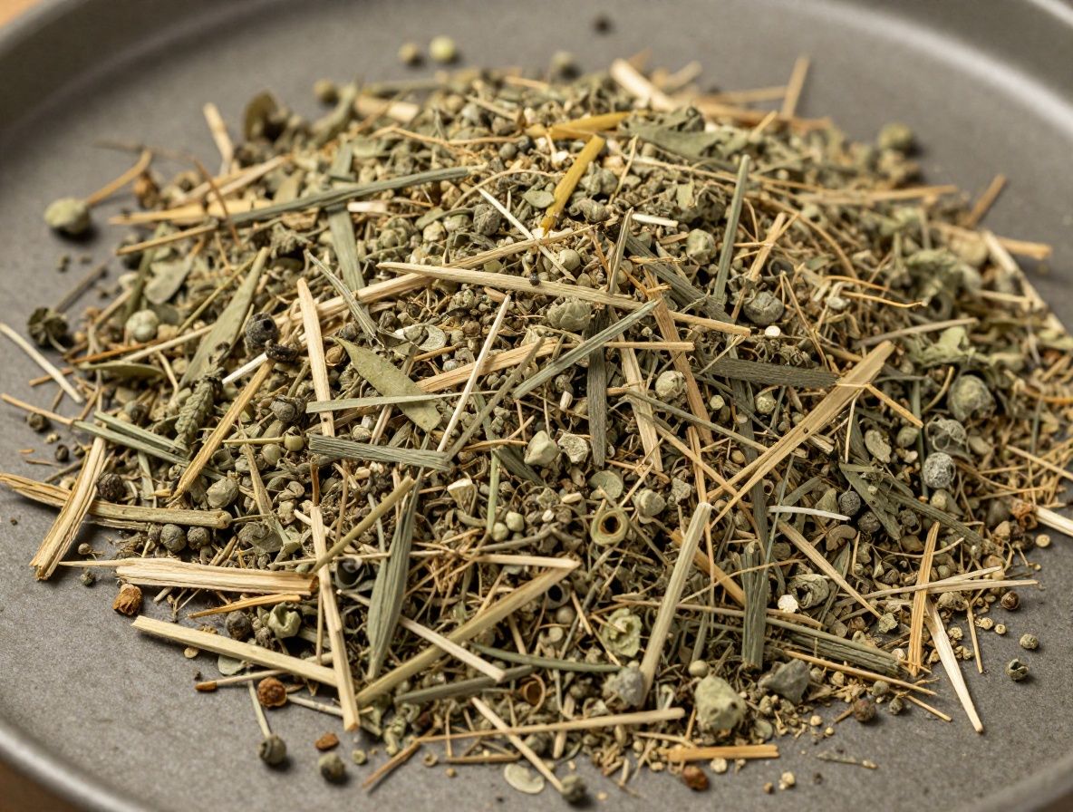 Detailní záběr sušených bylinných extraktů a aromatických rostlin na tmavém kamenném povrchu s přirozeným bočním osvětlením, bez jakýchkoli produktových obalů